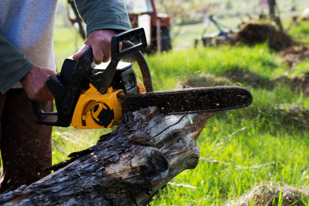 Best Pest Control for Lawns  in Port Gibson, MS